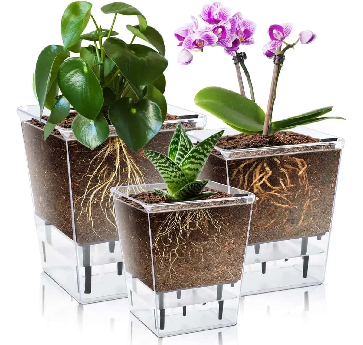 Vaso Autoirrigável Transparente com Reservatório de Água 10 cm