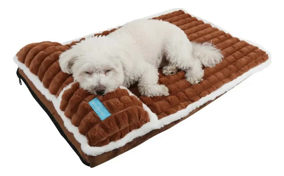 Cama Colchão Ortopédica Duke Dixie para Cães Comfort Antiderrapante Marrom